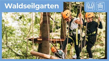 Image for: Waldseilgarten