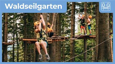 Image for: Waldseilgarten Tageskarte
