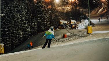 Image for: Night ticket